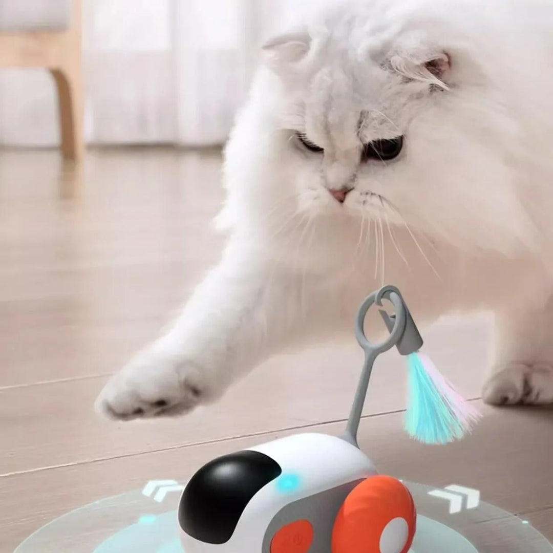 Interactive Gravity Sports Car Remote Control Cat Toy