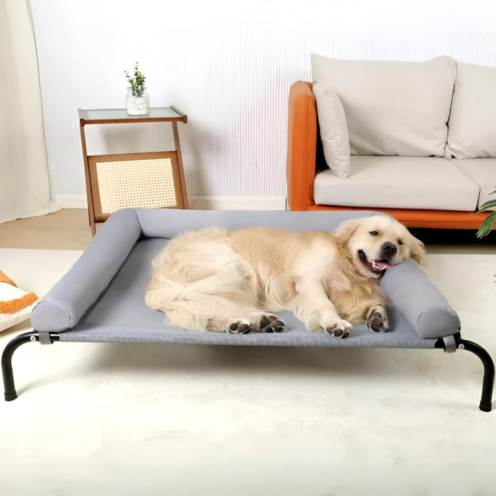 Cozy Large Dog Bed with Breathable Cushion