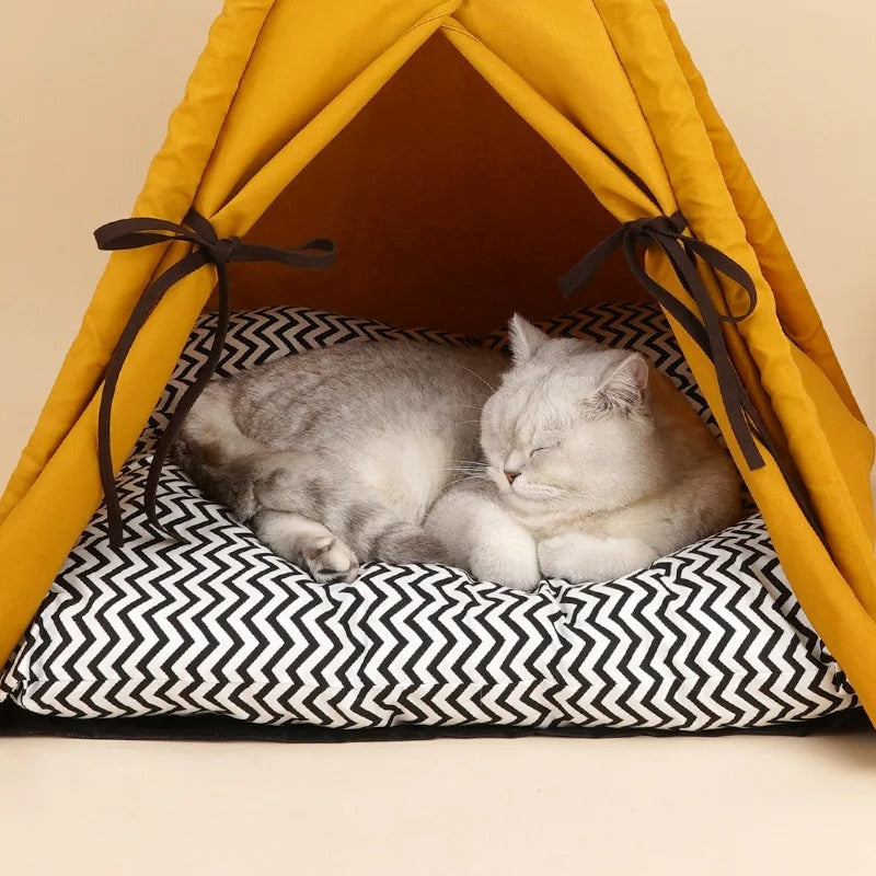 Sunset Yellow Cat Tent