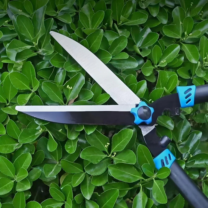 Professional Hedge Shears for Precision Pruning