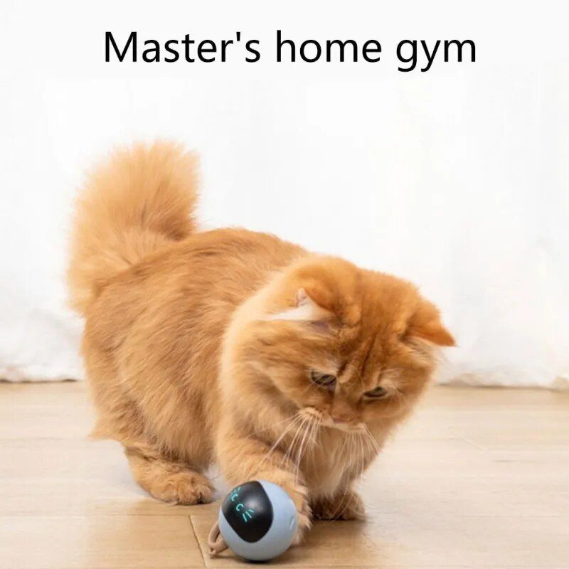 Smart Interactive LED Cat Ball Toy