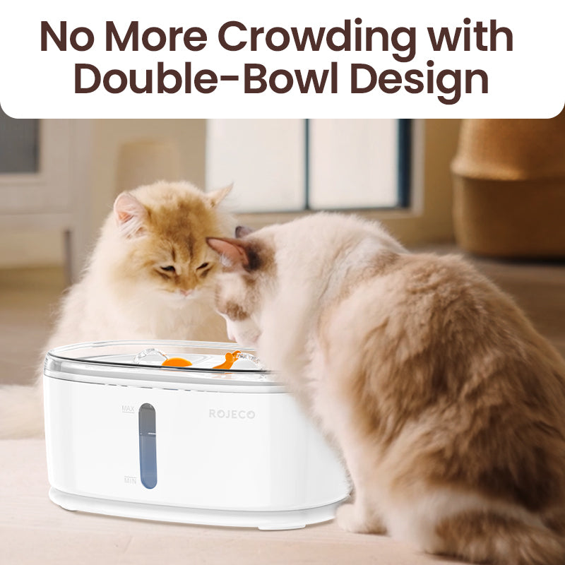 Automatic Wireless Pet Water Fountain with Dual Drinking Zones