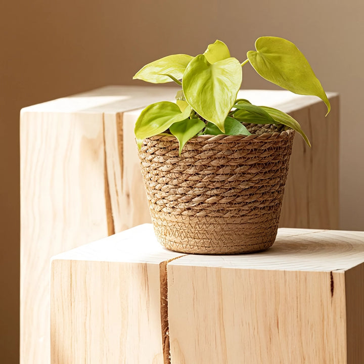 Hand-Woven Straw Wicker Plant and Storage Basket