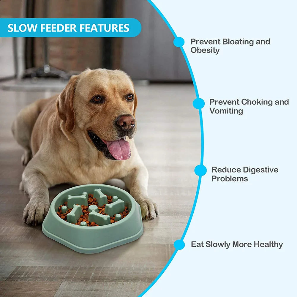 Slow Feeder Dog Bowl