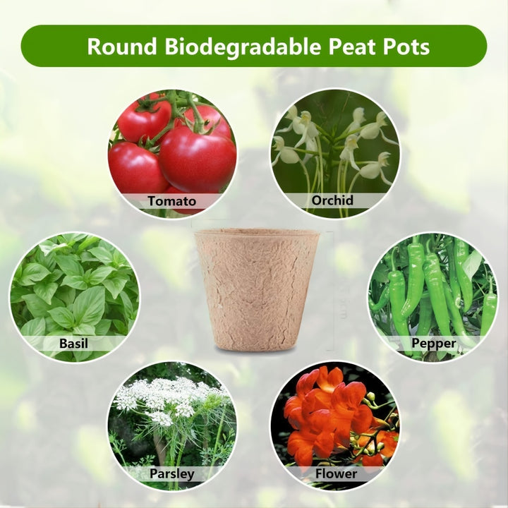 Biodegradable Paper Nursery Pots and Plant Labels Set