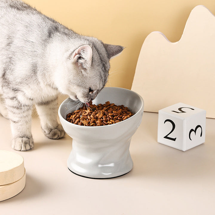 Elevated Ceramic Cat & Small Dog Bowl