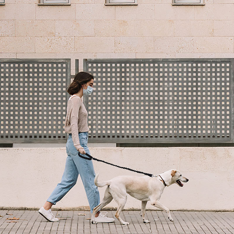 Stretchable Dog Leash