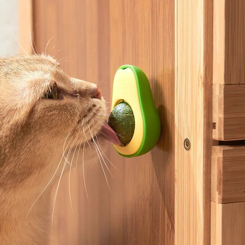 Avocado Catnip Lickable Toy Ball: Healthy & Interactive Treat for Cats