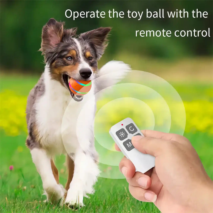 Interactive Remote Control Pet Ball