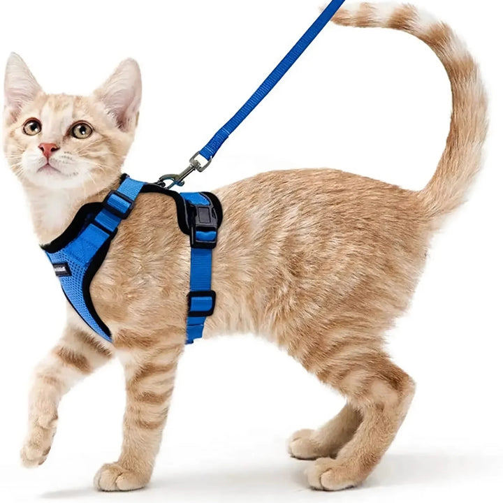 Escape-Proof Cat Harness & Leash