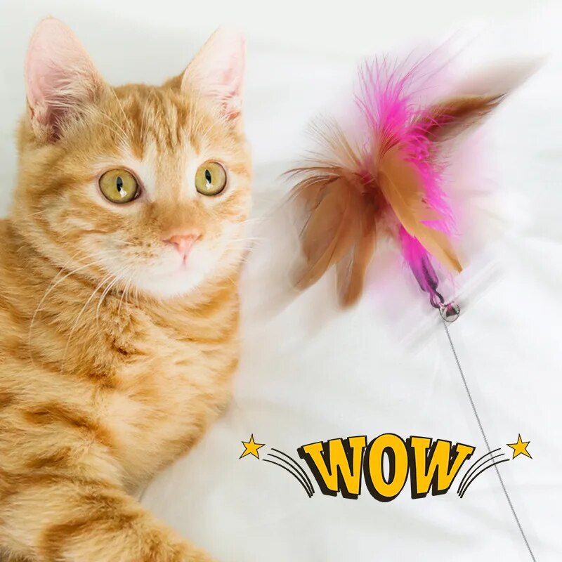 Interactive Feather Teaser Stick with Bell Collar for Cats