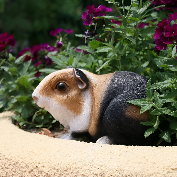 Guinea Pig Resin Statue