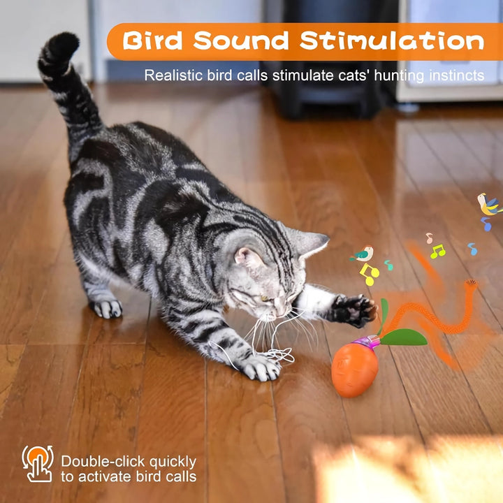 Motion-Activated Cat Ball Toy with Bird Sound and Tail Teaser