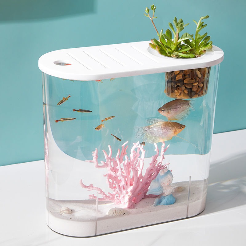 Transparent Plastic Goldfish Tank