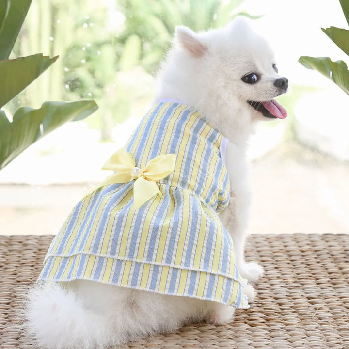 Dog Princess Dress