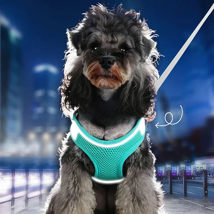 Reflective Breathable Adjustable Dog Harness Vest