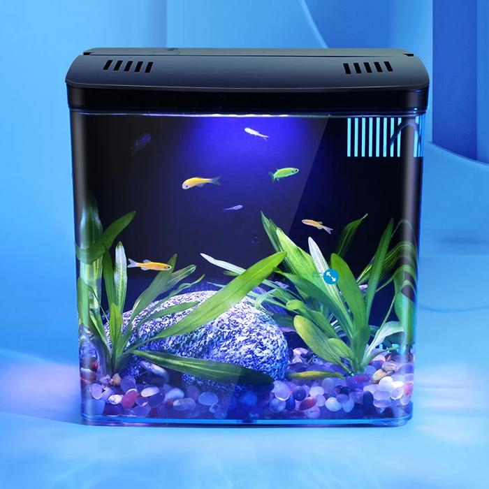 Compact LED Fish Tank with Self-Circulating Back Filter