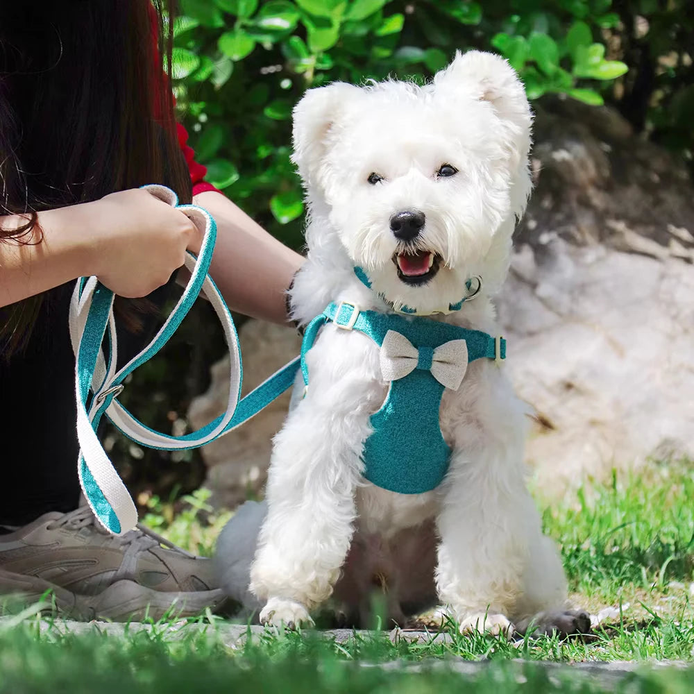 Adorable Quick Release Dog Collar Harness & Leash Set with Bowknot