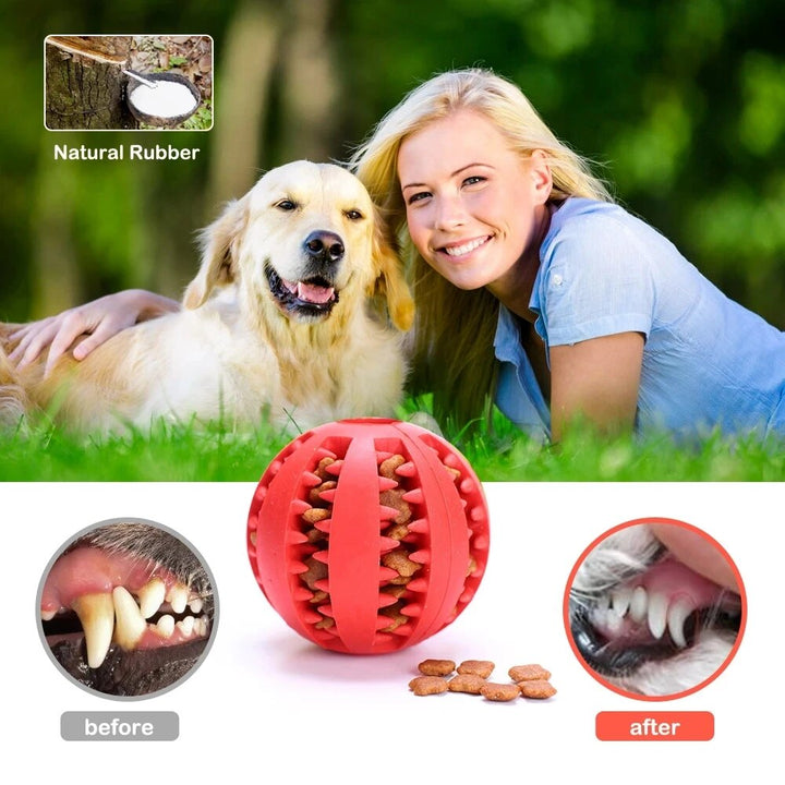 Interactive Dog Treat Ball for Teeth Cleaning and Play