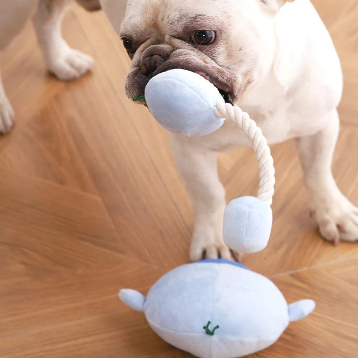 Penguin Squeak Plush Chew Toy