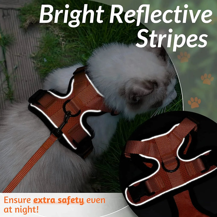 Escape-Proof Cat Harness & Leash