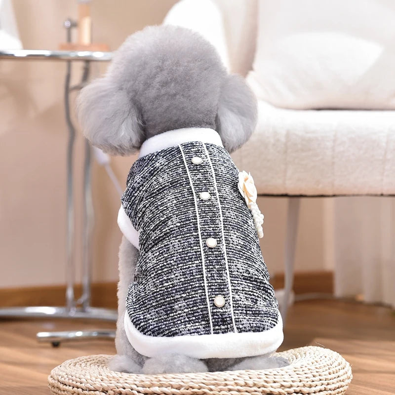 Luxury Dachshund Winter Coat with Pearl Design and Fur Collar