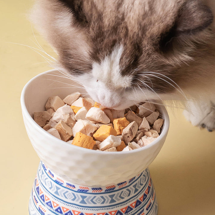 Elevated Ceramic Cat Bowl