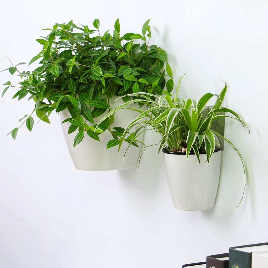 Modern Wall-Mounted Hydroponic Flowerpot