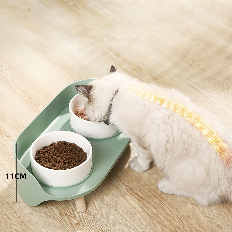 Elevated Double Ceramic Cat Bowls