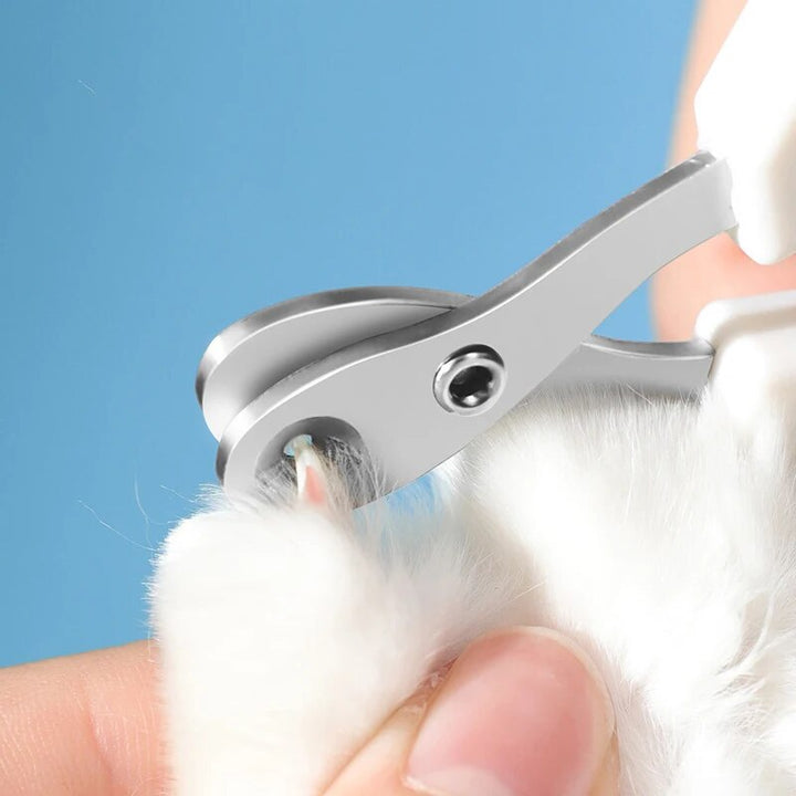 Precision Pet Nail Clippers for Small to Medium Dogs and Cats with Safety Guard