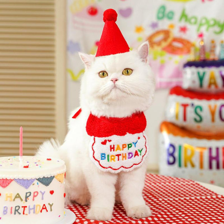 Charming Pet Birthday Bandana and Hat Set