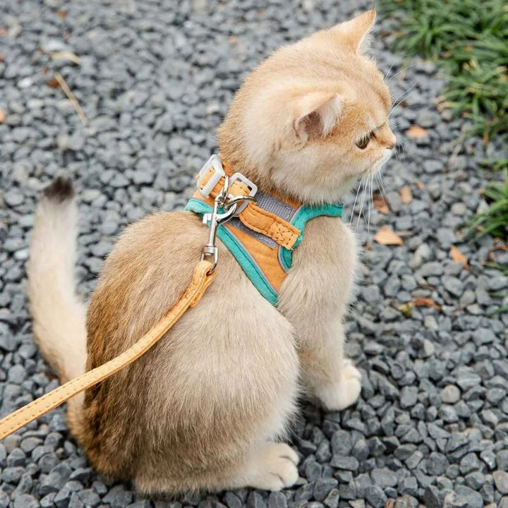 Comfortable Cat and Dog Harness Leash Set