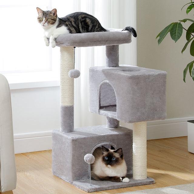 80CM Cat Tower with Double Condo & Large Perch