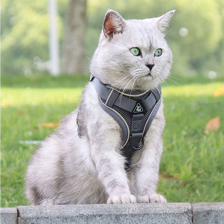 Adjustable Mesh Cat Harness and Leash Set