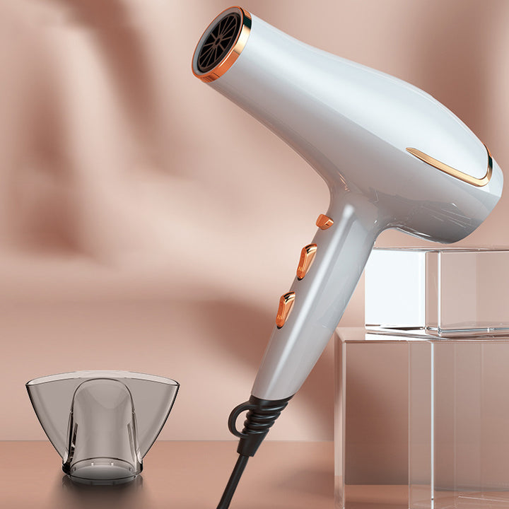 Professional Electric Hair Dryer