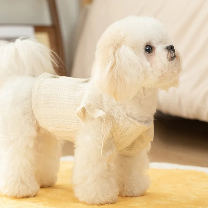 Warm Lace Vest for Small Dogs