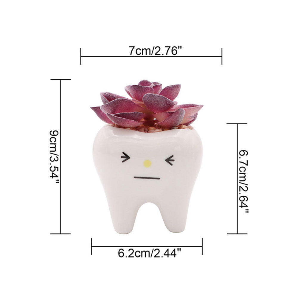 Charming Ceramic Tooth-Shaped Planter for Succulents and Cacti