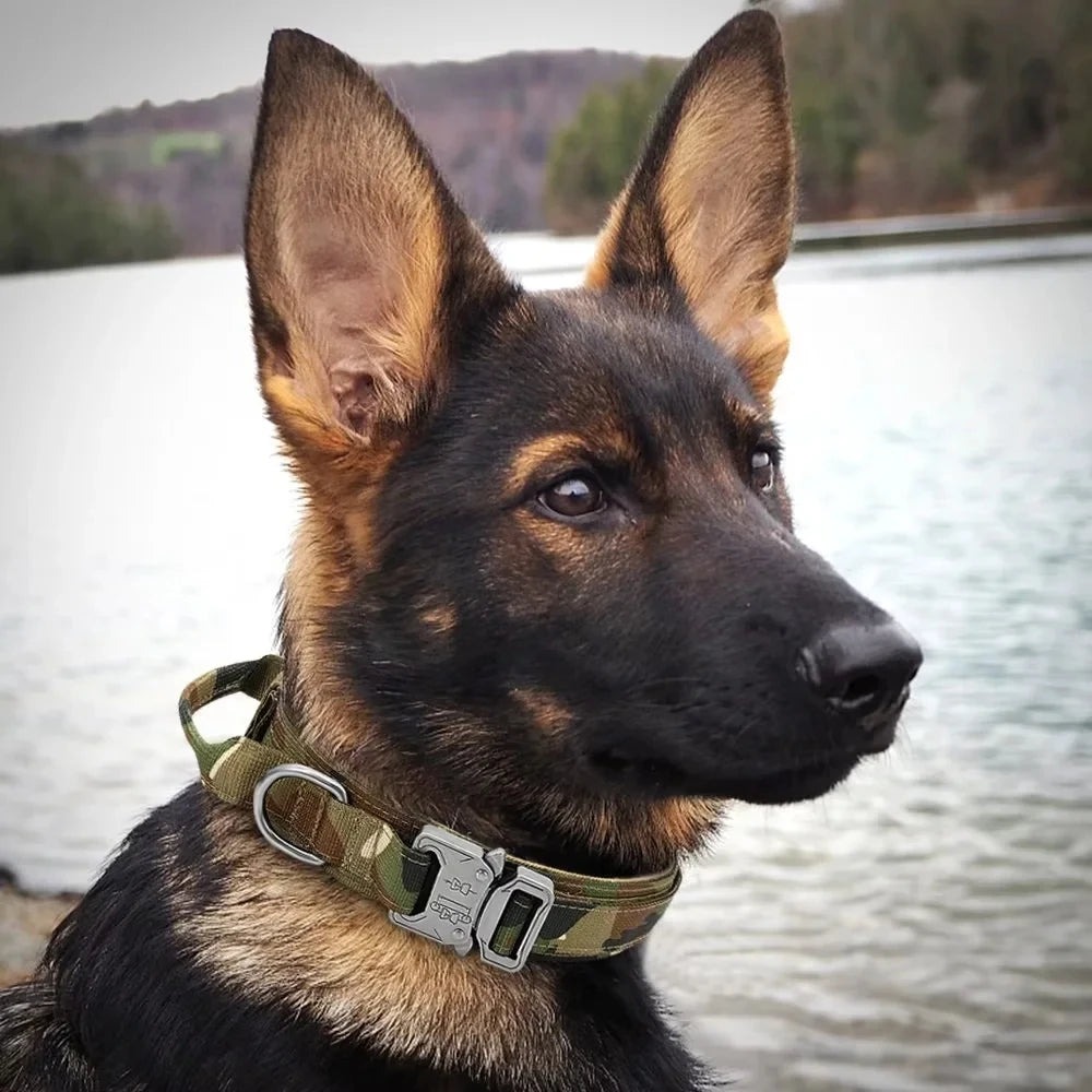 Durable Tactical Dog Harness for Medium and Large Dogs - Waterproof Nylon, Molle-Ready, No-Pull Design