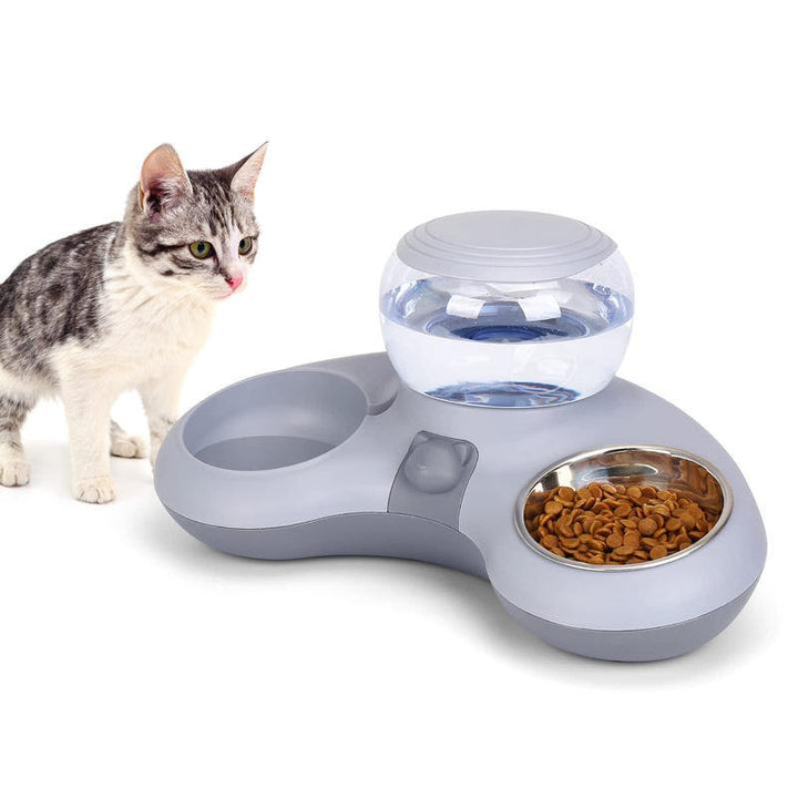 Automatic Water Dispenser & Double Cat Bowl Set