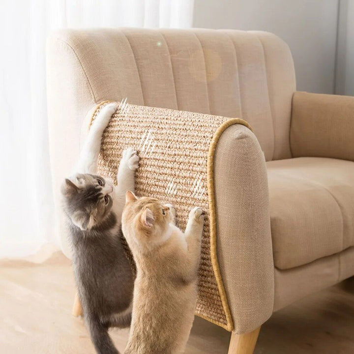 Multi-Purpose Cat Scratching Mat