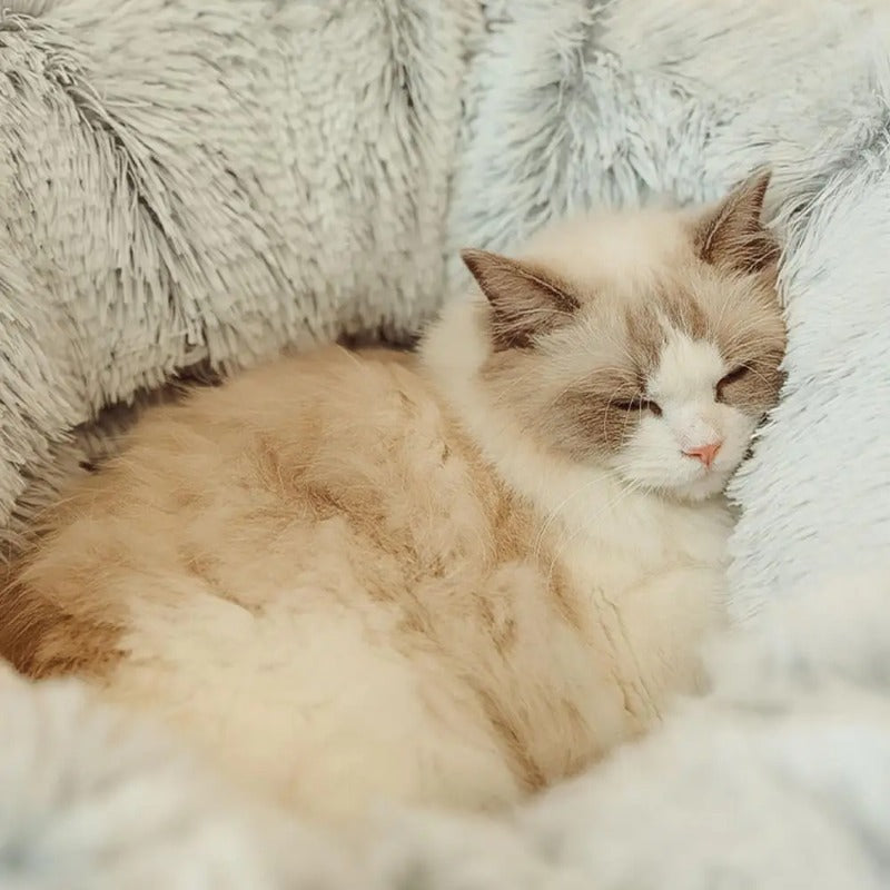 Plush Cat Bed with Tunnel