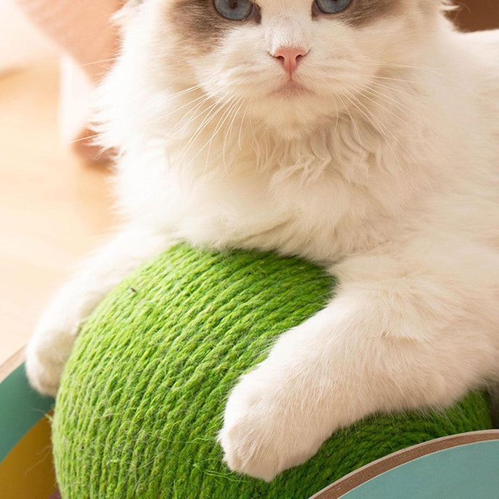 Wooden Sisal Cat Scratcher Wheel with Catch Ball