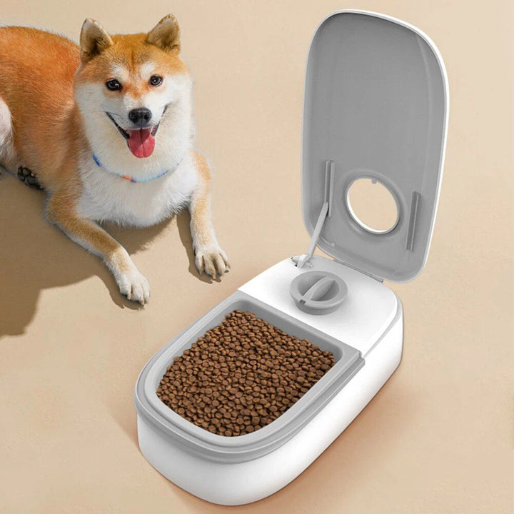 Pet Automatic Timing Feeder