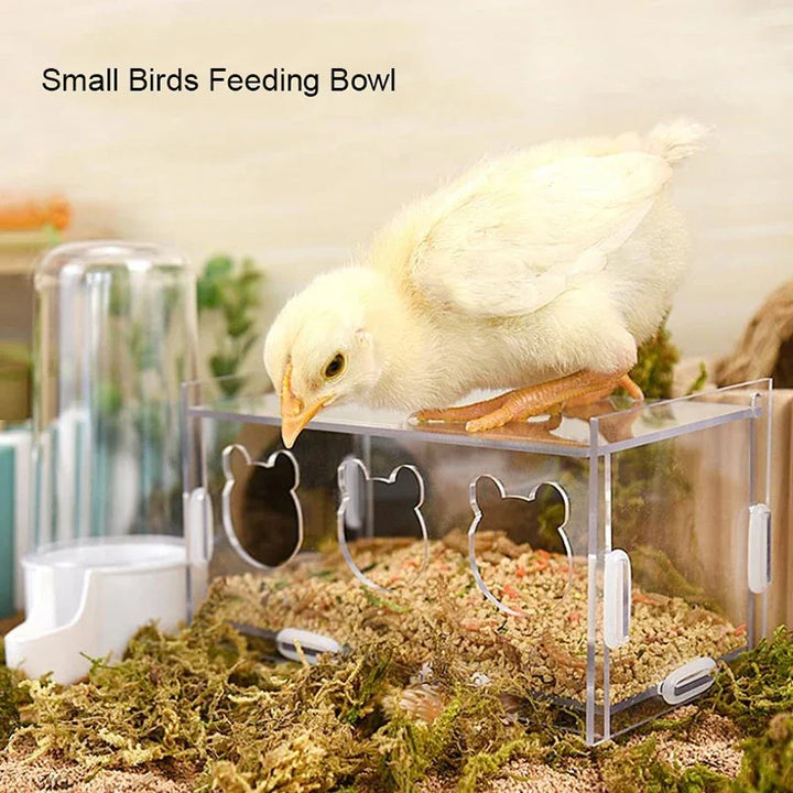 Acrylic Bird Feeder with Cuttlebone Holder