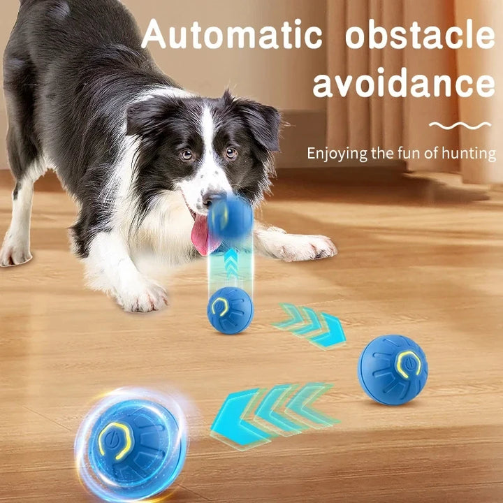 Interactive Smart Dog Ball Toy