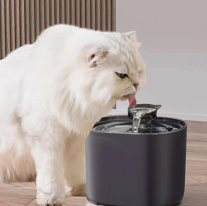 Automatic Pet Water Fountain with 2.2L Capacity