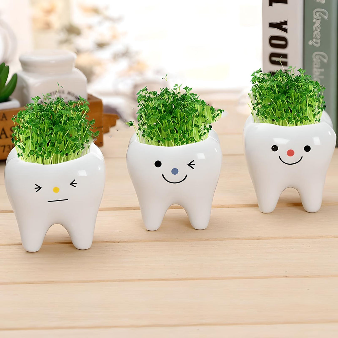 Charming Ceramic Tooth-Shaped Planter for Succulents and Cacti