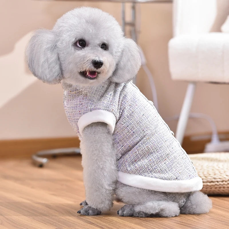 Luxury Dachshund Winter Coat with Pearl Design and Fur Collar