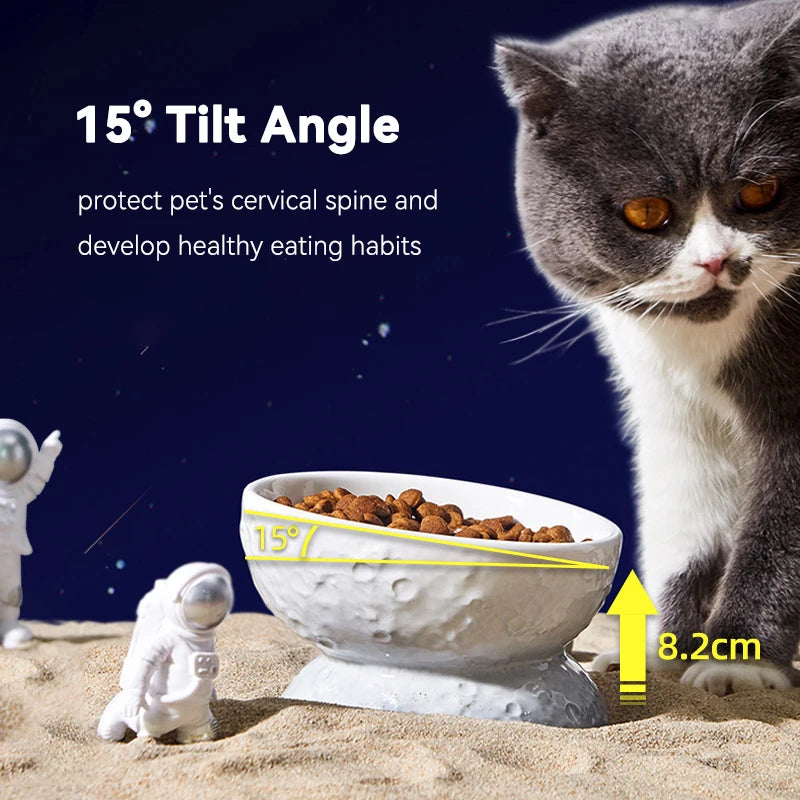 Elevated Cat Planet Shape Ceramic Bowl for Small Dogs