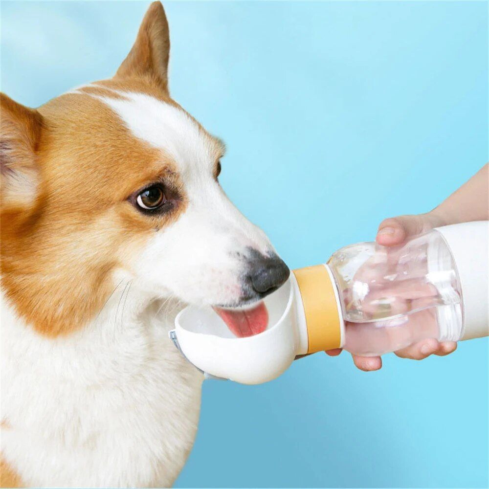 Multi-Purpose Pet Water Bottle